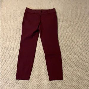 Dress pant-Burgundy color